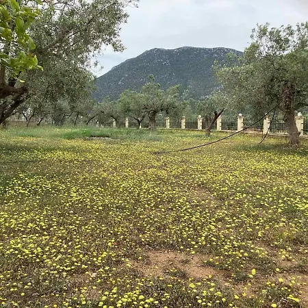 Evdora Family House Near بيت للعطل